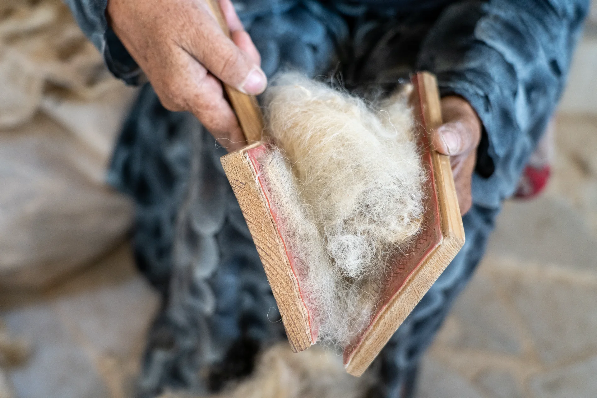 Frangipani — Carding wool