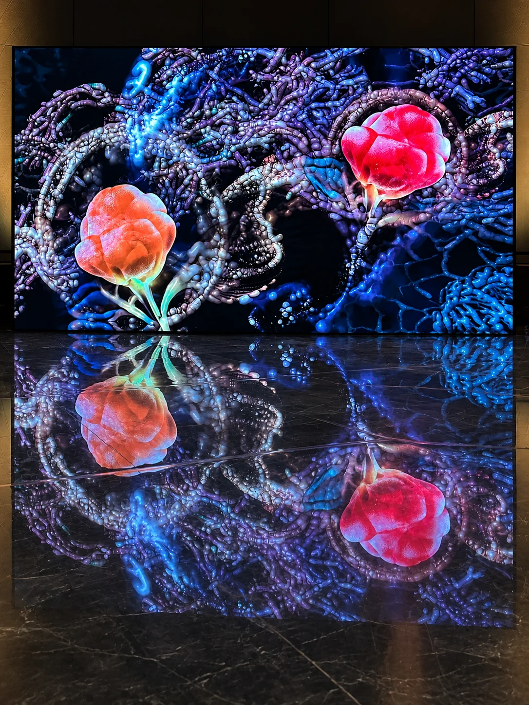 Mycorrhiza
