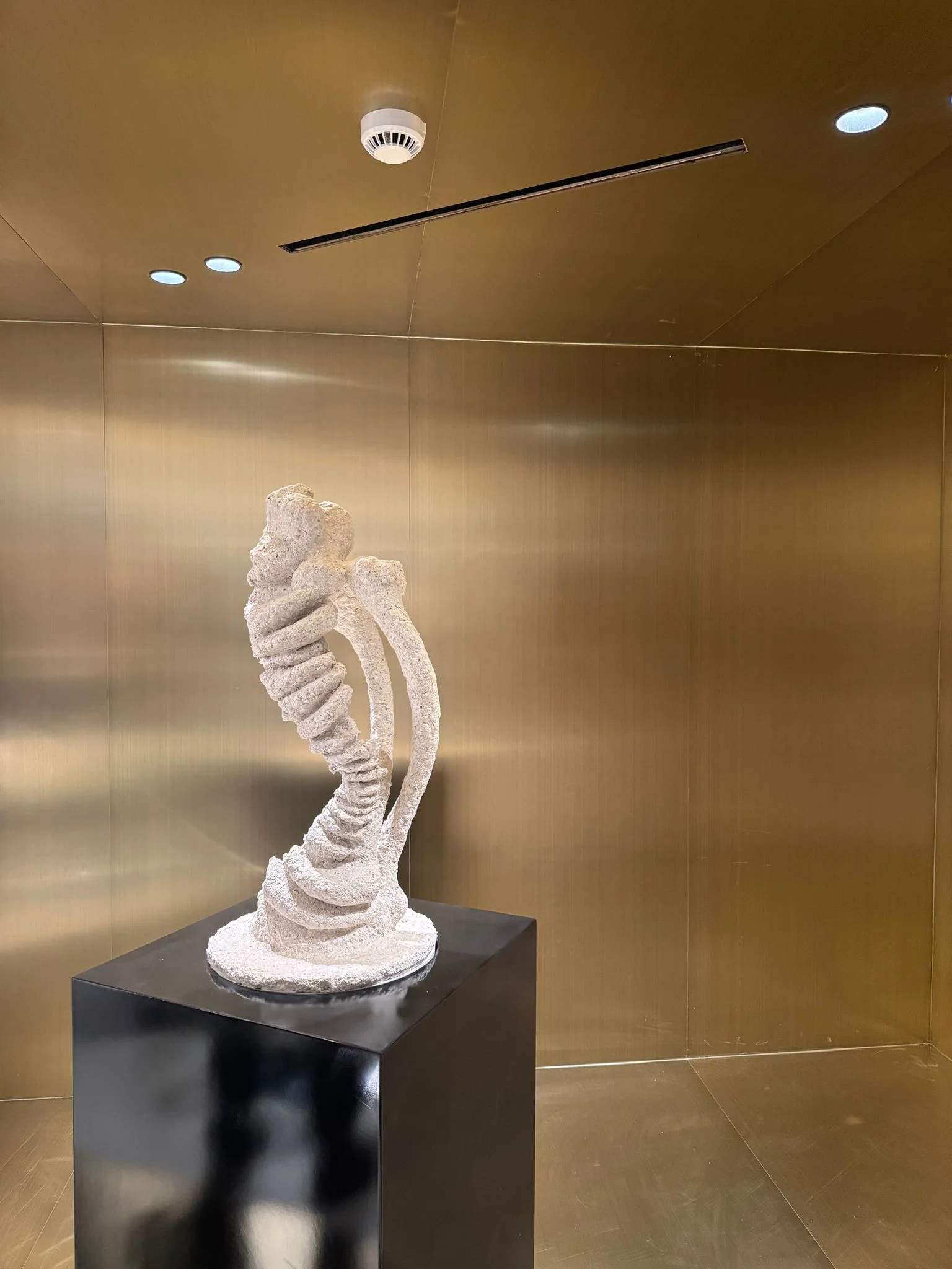 Transflormation — Akbank Private Banking Collection