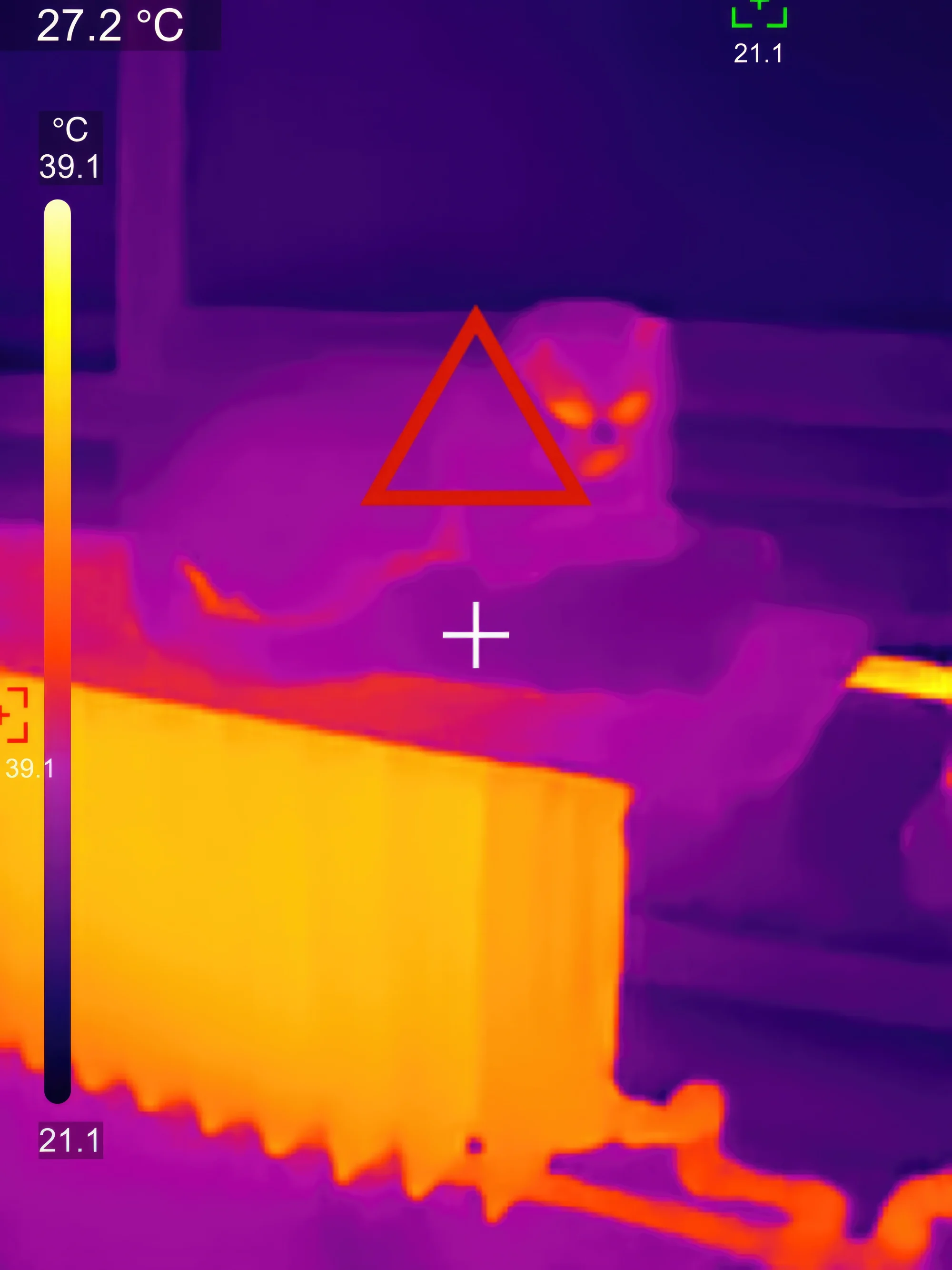 Where Sincerity Leads